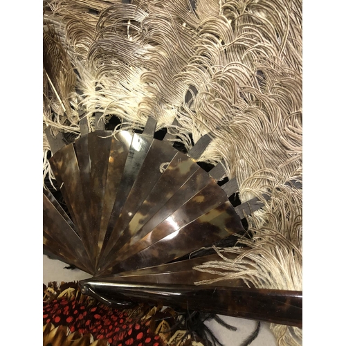 82 - Feather fans: Two ostrich feather fans, the first black, with curly feathers and additional feather ... 