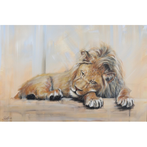 96 - ARR Rayford James Holroyd (b 1978), Sleeping Lion, oil on canvas, signed to lower left, 51cm x 76cm ... 