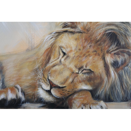 96 - ARR Rayford James Holroyd (b 1978), Sleeping Lion, oil on canvas, signed to lower left, 51cm x 76cm ... 