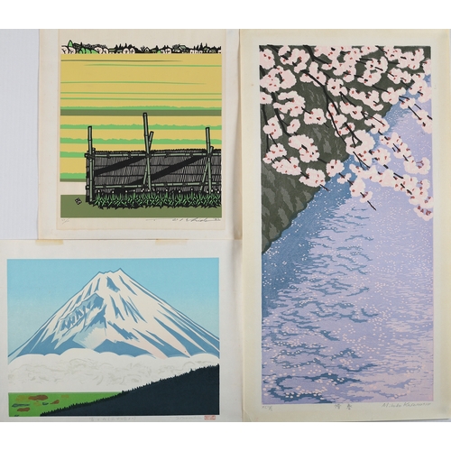 125 - Mihoko Kasamatsu 20th century, Blossom, woodblock print in colours, signed and numbered XCIV/C in pe... 