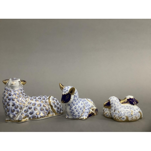 13 - A Royal Crown Derby ram, ewe and two lambs, silver buttons (3) 7.5cm, 6.5cm and 4 cm high