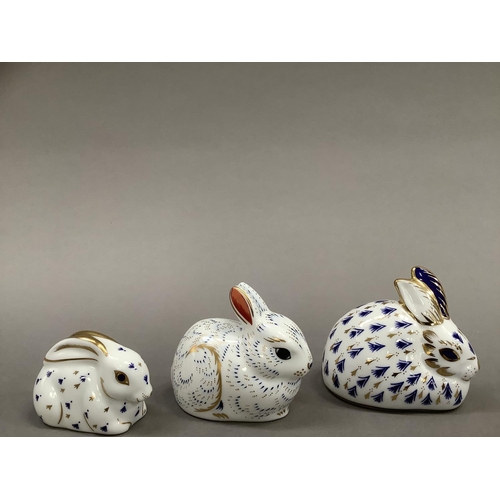 18 - Three Royal Crown Derby paperweight rabbits including a bunny, exclusive for A Royal Crown Derby Col... 