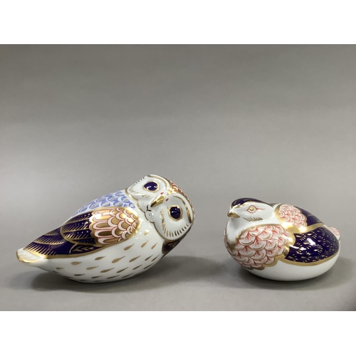 22 - A Royal Crown Derby paperweight owl with gilt button, 8cm high together with a tortoise (2)