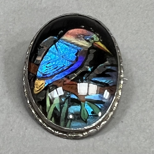 466 - A mid 20th century butterfly wire brooch in silver, the oval portrait of a Kingfisher perched over w... 