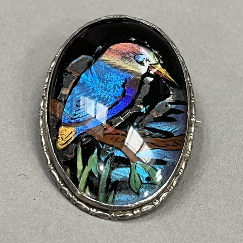 466 - A mid 20th century butterfly wire brooch in silver, the oval portrait of a Kingfisher perched over w... 