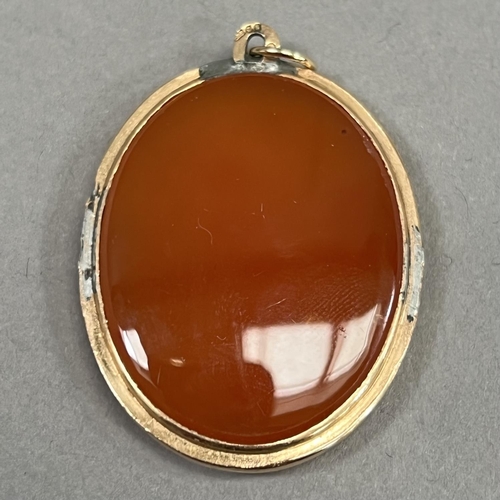 443 - A Cornelian pendant in 9ct gold, the oval double cabochon stone collet set in 9ct gold, approximate ... 