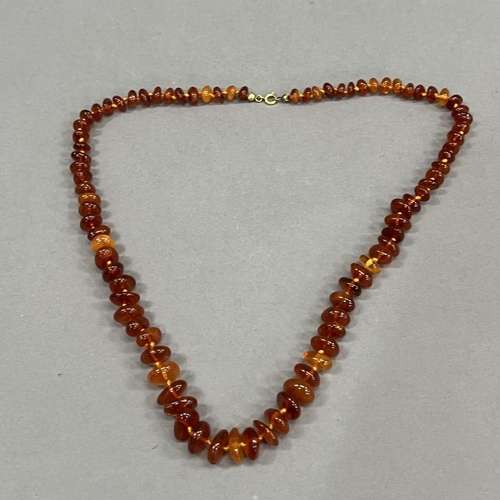 460 - A necklace of graduated roughly oval Baltic amber beads fastened with a rolled gold bolt ring, appro... 