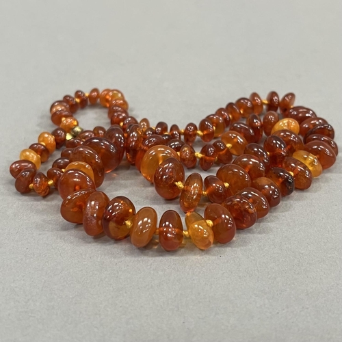 460 - A necklace of graduated roughly oval Baltic amber beads fastened with a rolled gold bolt ring, appro... 