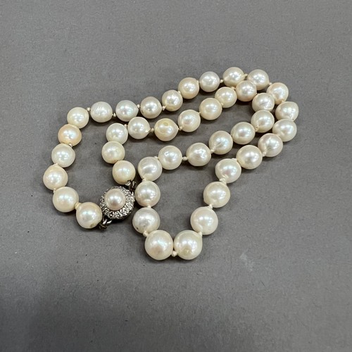 455 - A cultured pearl choker necklace circa 1950 with white gold, diamond and pearl set cluster snap in w... 