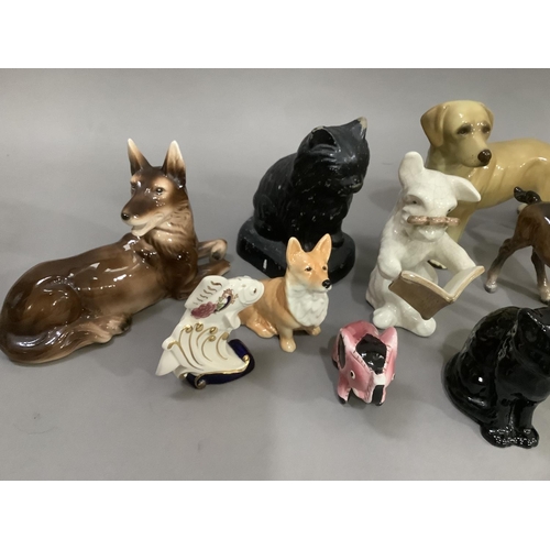 286 - A collection of mainly ceramic animals including dogs, cats, piggy bank, foal, etc