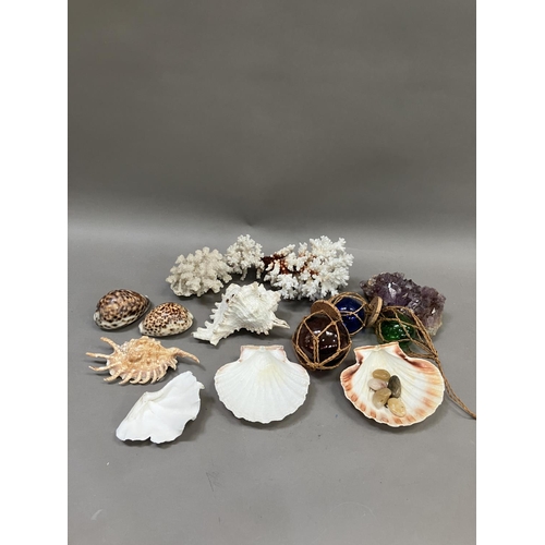 261 - A collection of seashells, coral, green, blue and brown glass floats, amethyst sample etc