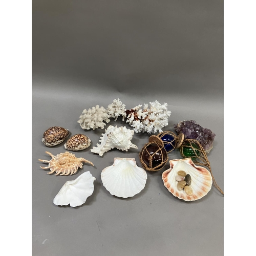 261 - A collection of seashells, coral, green, blue and brown glass floats, amethyst sample etc