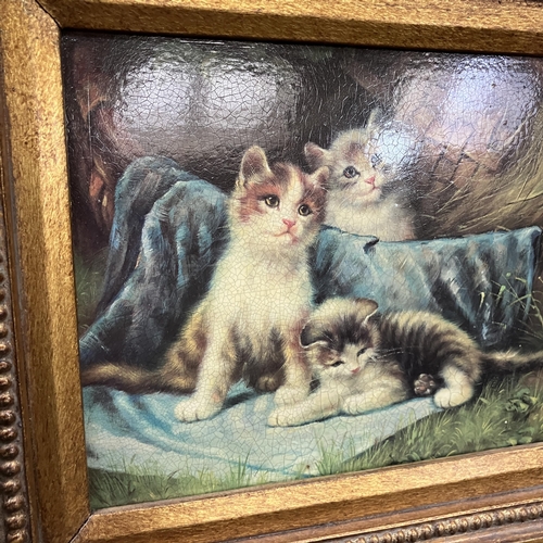 294 - Two prints of kittens and dogs with parrot in gilt frames measuring 29cm x 24cm