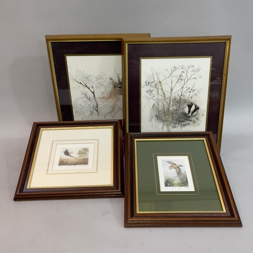 480 - After D. M. Hinchliff, Barn owl in Flight and Pheasant in Flight, limited colour prints, 261/850 and... 