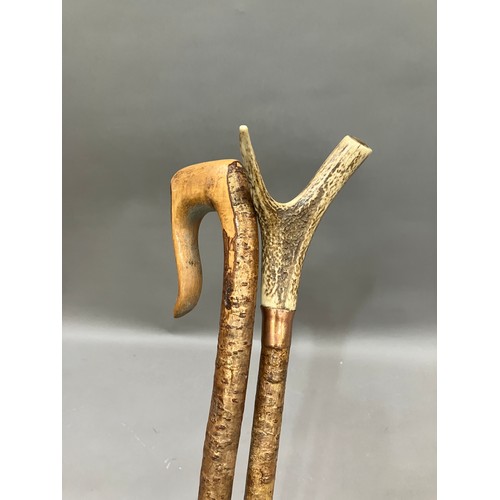 491 - Two walking sticks, one with antler handle the other with crook handle