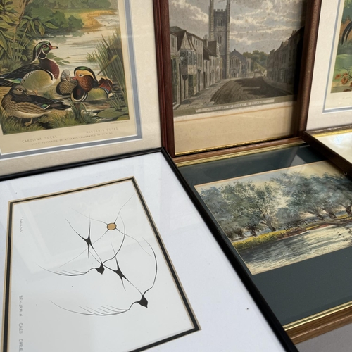 239 - A pair of colour lithographs, Carolina and Mandarin ducks and black breasted red gamecock, river lan... 