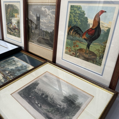 239 - A pair of colour lithographs, Carolina and Mandarin ducks and black breasted red gamecock, river lan... 