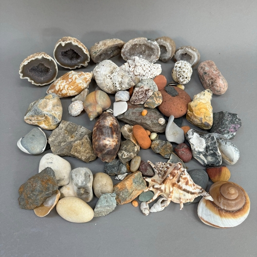 95 - A collection of sea shells, an agate geode in halves, rocks, pebbles, etc.