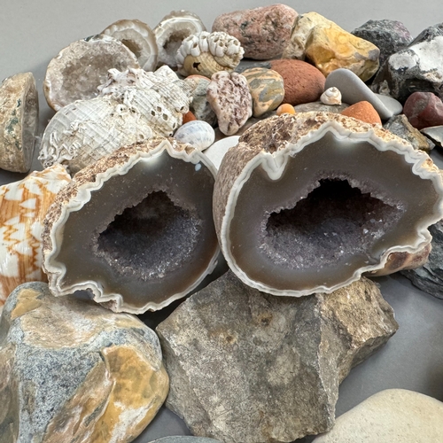 95 - A collection of sea shells, an agate geode in halves, rocks, pebbles, etc.