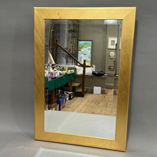 189 - A gilt framed bevelled mirror, rectangular, 78cm x 54cm