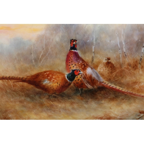 266 - HOLLOWAY. MILWYN, (BRITISH, 1940-2020), Pheasant in Landscape, painted on porcelain, signed to lower... 