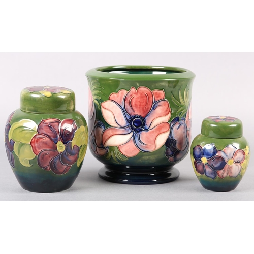 274 - A MOORCROFT JARDINIERE painted and tube lined in the Anemone pattern in pinks and purples on a green... 