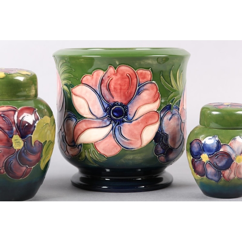 274 - A MOORCROFT JARDINIERE painted and tube lined in the Anemone pattern in pinks and purples on a green... 