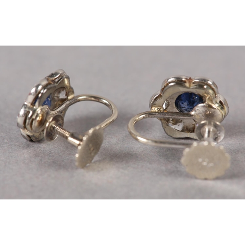 367 - A PAIR OF SAPPHIRE AND DIAMOND CLUSTER EARRINGS c1950 in 9ct white gold, each millegrain set to the ... 