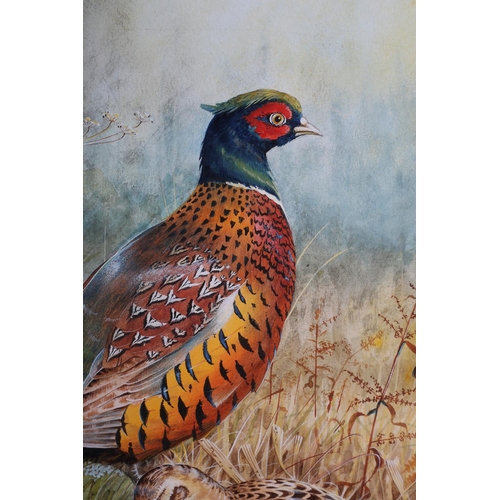 440 - ARR RICHARD DUFFIELD (Contemporary), Pheasant cock and hen in covert, watercolour, signed to lower l... 