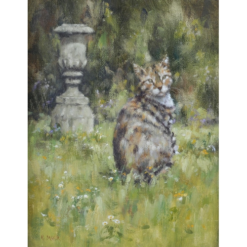 427 - ARR NEVILLE BARKER (1949-2008) 'At the Bottom of the Garden', tabby cat amongst daisies, oil on canv... 