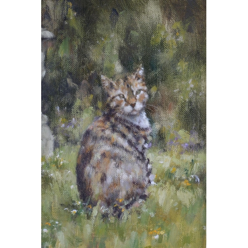 427 - ARR NEVILLE BARKER (1949-2008) 'At the Bottom of the Garden', tabby cat amongst daisies, oil on canv... 