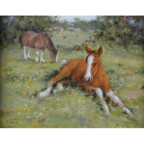 428 - ARR NEVILLE BARKER (1949-2008) 'Mare and Foal' study, in a meadow, oil on canvas, signed to lower le... 