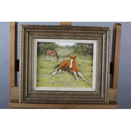 428 - ARR NEVILLE BARKER (1949-2008) 'Mare and Foal' study, in a meadow, oil on canvas, signed to lower le... 