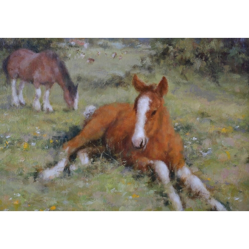 428 - ARR NEVILLE BARKER (1949-2008) 'Mare and Foal' study, in a meadow, oil on canvas, signed to lower le... 