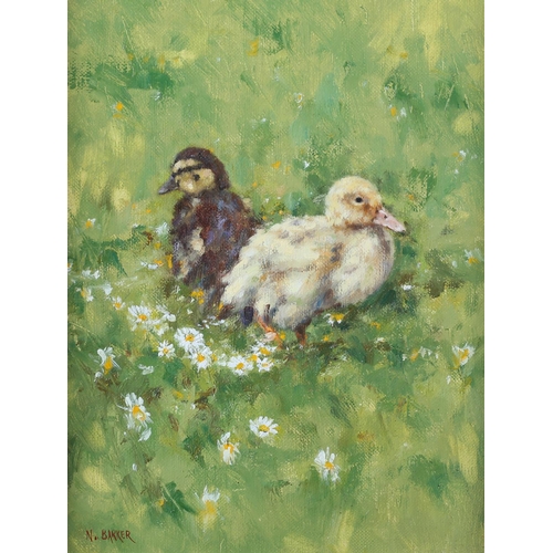 429 - ARR NEVILLE BARKER (1949-2008) 'Ducklings' study, amongst daisies, oil on canvas, signed to lower le... 