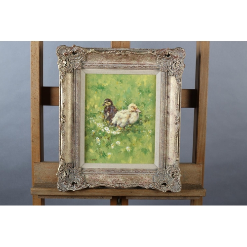 429 - ARR NEVILLE BARKER (1949-2008) 'Ducklings' study, amongst daisies, oil on canvas, signed to lower le... 