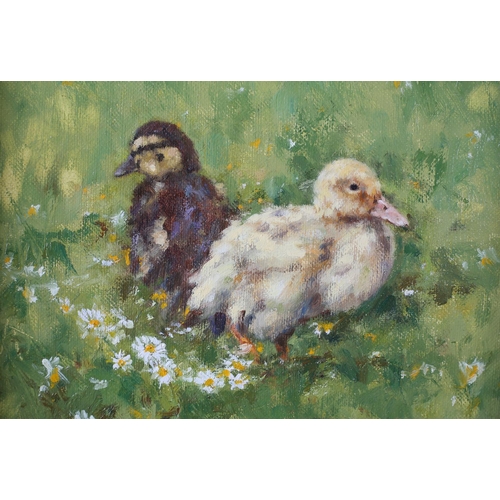 429 - ARR NEVILLE BARKER (1949-2008) 'Ducklings' study, amongst daisies, oil on canvas, signed to lower le... 