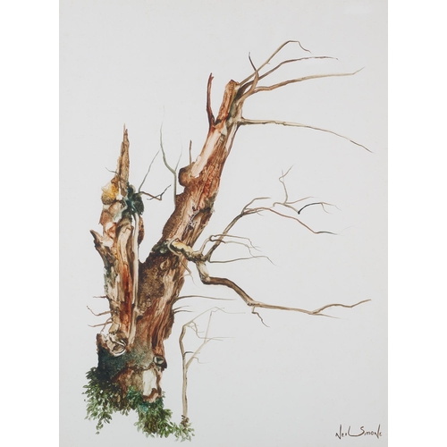 431 - ARR NEIL SIMONE (b.1947) 'Tree Study with Faces' oil sketch, signed to lower right, title verso, 40c... 