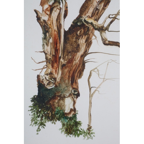 431 - ARR NEIL SIMONE (b.1947) 'Tree Study with Faces' oil sketch, signed to lower right, title verso, 40c... 