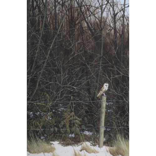 441 - ARR SIMON TURVEY (b.1957) 'barn owl' sitting on a fence post on the edge of a copse, watercolour, si... 