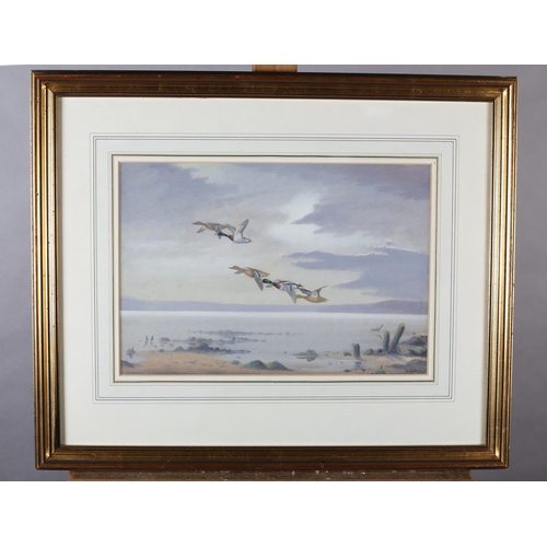 442 - ARR PHILIP RICKMAN (1891-1982) 'Mallards Over Water' pastel, signed to lower right 25cm x 36.5cm