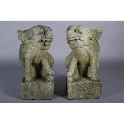 292 - A PAIR OF LATE 19TH CENTURY CARVED STONE GARDEN STATUES modelled as Dogs of Fo both holding a ball, ... 