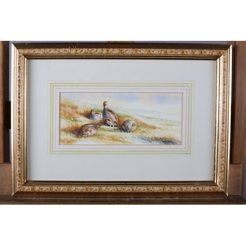 443 - ARR ANDY BECK (20th/21st Century), Covey of grey partridge, watercolour, signed to lower right, 9.5c... 