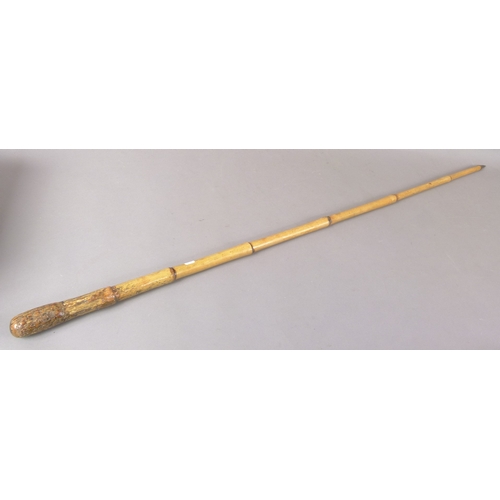 158 - A COLONIAL BAMBOO PIG-STICKING STICK, the bamboo cane with metal tip, early 20th century