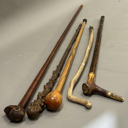 105 - A collection of walking sticks including an antler example and one with a carved monkey head