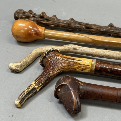 105 - A collection of walking sticks including an antler example and one with a carved monkey head