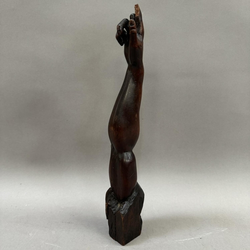 7 - A fruitwood carving of an arm with out stretched finger, possible ecclesiastical, 36.cm