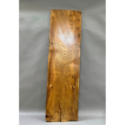 94 - A 17th century elm shingle from a barn in Norfolk, one side polished , 173cm x 49cm