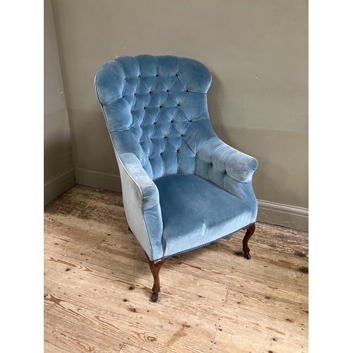 319 - A 1920's walnut button back armchair upholstered in mid-blue velvet on cabriole legs with castors