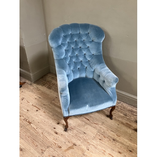 319 - A 1920's walnut button back armchair upholstered in mid-blue velvet on cabriole legs with castors